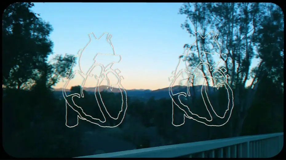 Wideo do filmu Simple Creature — Simple Creature - CalArts Film 2024