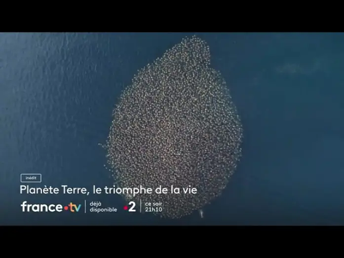 Wideo do filmu Planète Terre, héros de la nature — [ Bande annonce ] Planète Terre, le triomphe de la vie