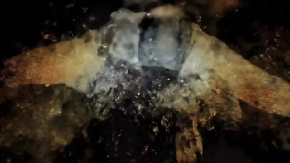 Wideo do filmu Misericorde — Misericorde (Natasa Prosenc Stearns) Sight and Sound BLOC @ MoMi Redstone 4/26/24 4:15pm
