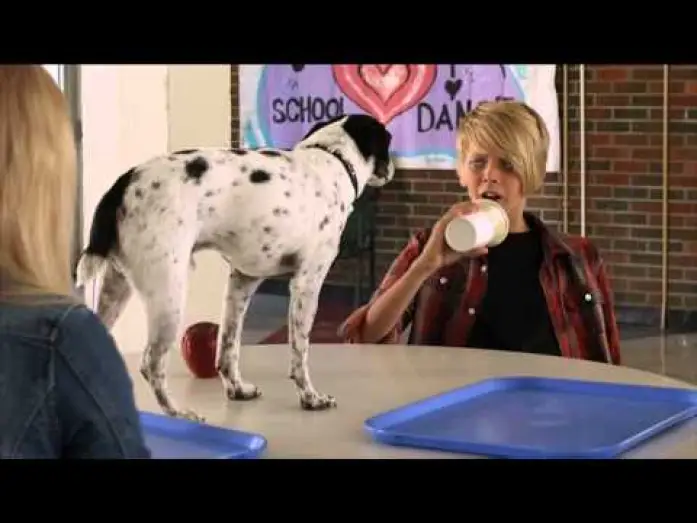 Wideo do filmu Pies-wampir — Trailer