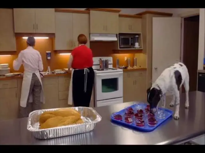 Wideo do filmu Pies-wampir — Clip