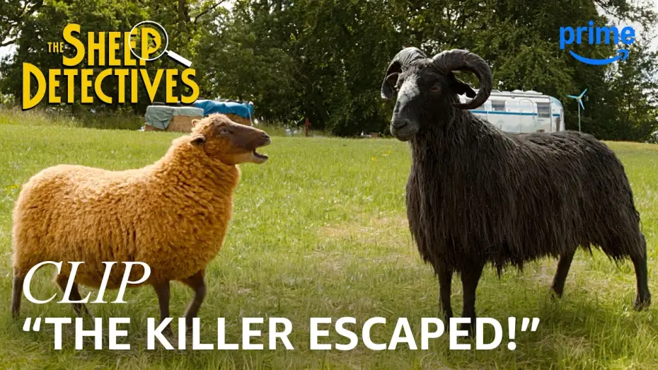 Wideo do filmu Sprawiedliwość owiec — Lily & the Other Sheep Begin Their Muder Investigation - Clip
