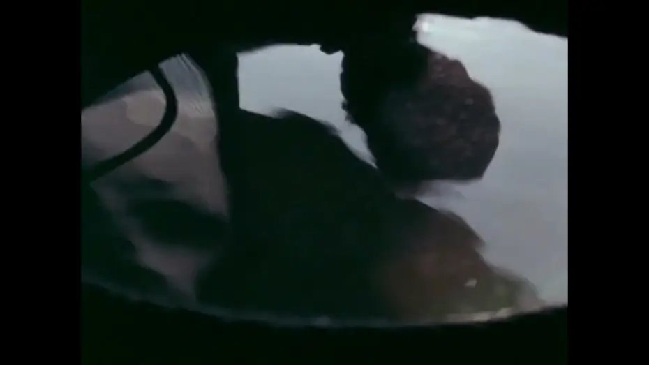 Wideo do filmu Una sombra oscilante — Una sombra oscilante | Tráiler | 29 IFFK | StyleFeelFree. SFF magazine
