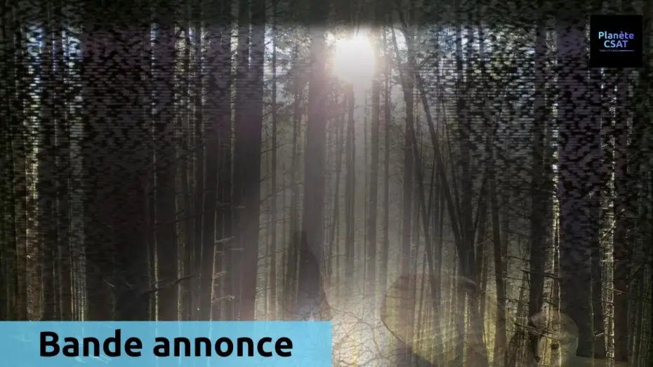 Wideo do filmu A la poursuite de la chouette d'or — A la poursuite de la Chouette d'Or | bande annonce | CANAL+DOCS
