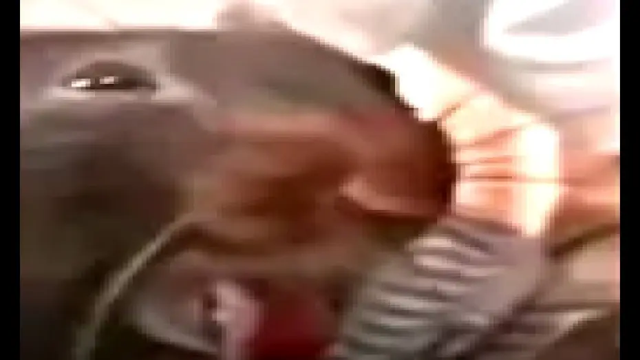 Wideo do filmu Verguizas Cabronas — Burping Rat Meme from Afffirmations