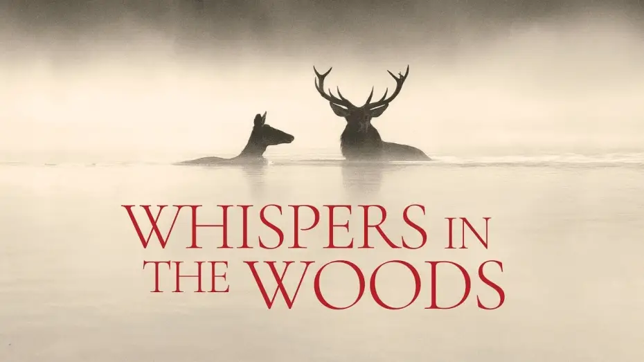 Wideo do filmu Le chant des forêts — Official Trailer [Subtitled]