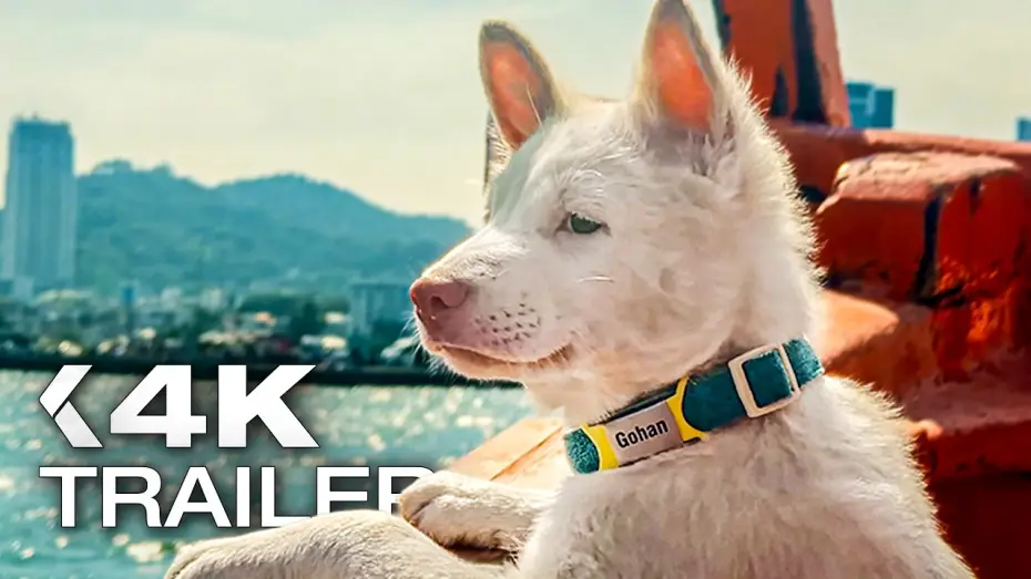 Wideo do filmu โกฮัง..หัวใจโกโฮม — GOHAN: Drei Leben auf vier Pfoten Trailer German Deutsch (2026) Exklusiv