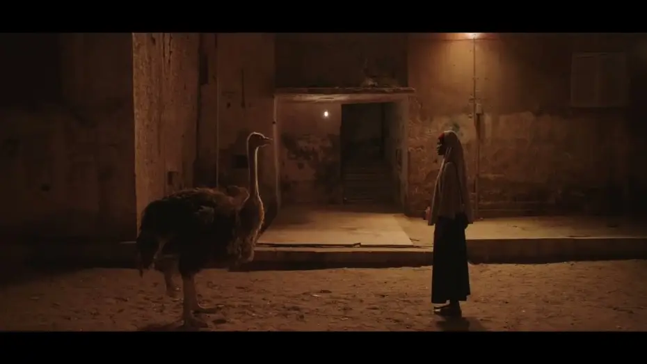 Wideo do filmu Aisha Can't Fly Away — Aisha Can't Fly Away Trailer - African Film Festival Atlanta (AFFATL) 2026
