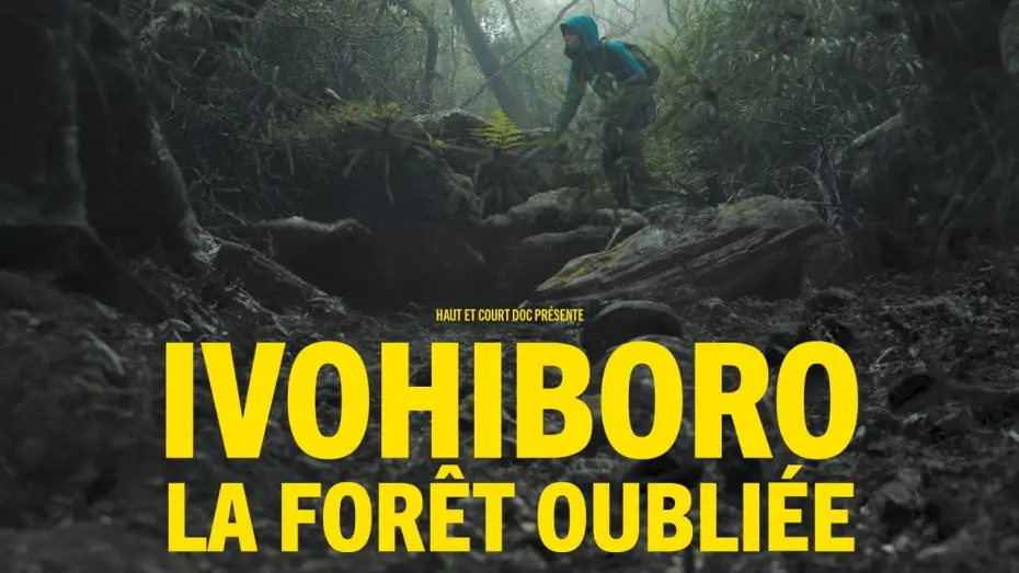 Wideo do filmu Ivohiboro, la forêt oubliée — Ivohiboro, la forêt oubliée - bande annonce