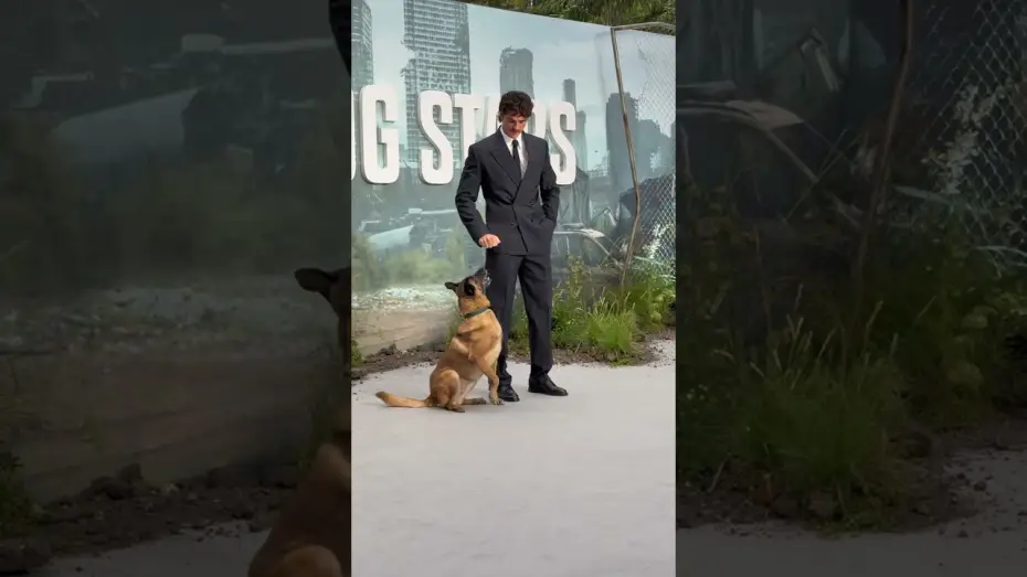 Wideo do filmu Gwiazdozbiór Psa — In Theaters August 28