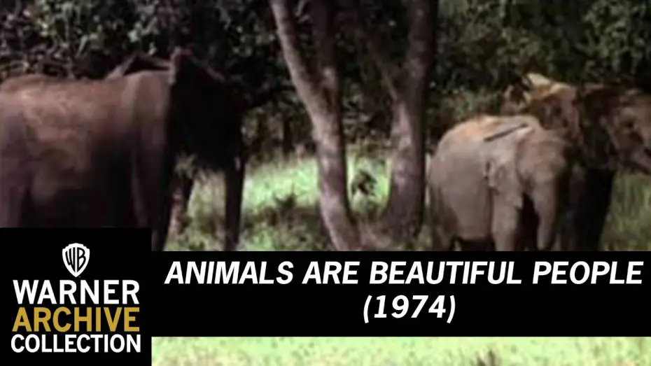 Wideo do filmu Animals Are Beautiful People — Animals Are Beautiful People (Original Theatrical Trailer)