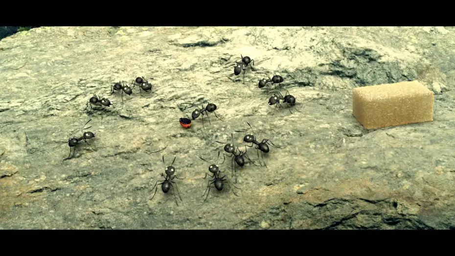Wideo do filmu Robaczki z Zaginionej Doliny — Clip #3