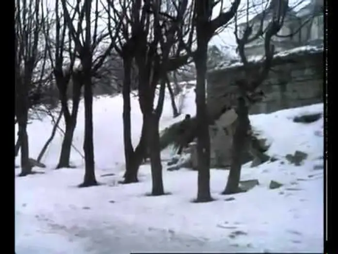 Wideo do filmu Дикая охота короля Стаха — Отрывок из к-ф "Дикая охота короля Стаха"