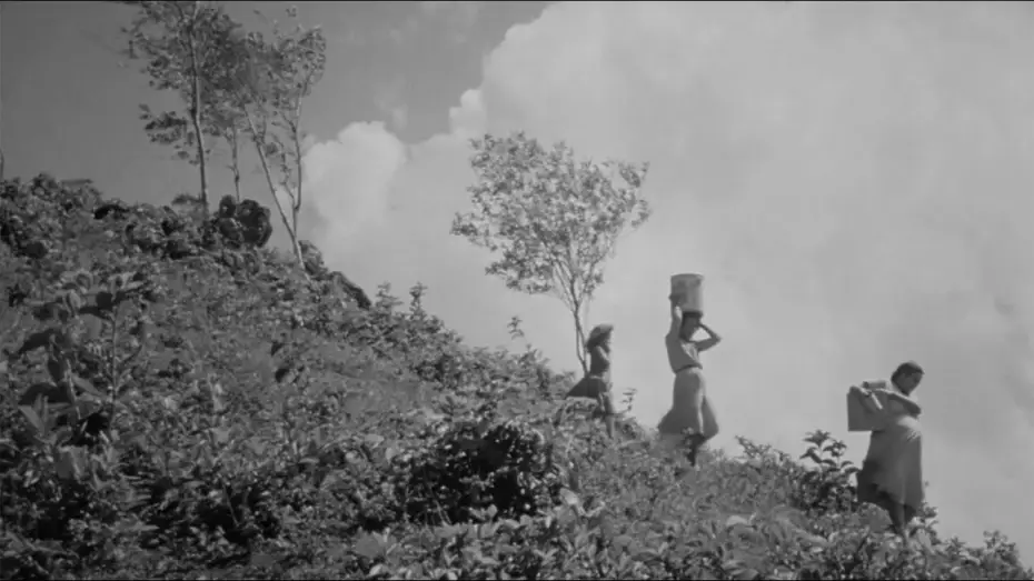 Wideo do filmu Todo parecía posible — Todo Parecía Posible – trailer | IFFR 2025