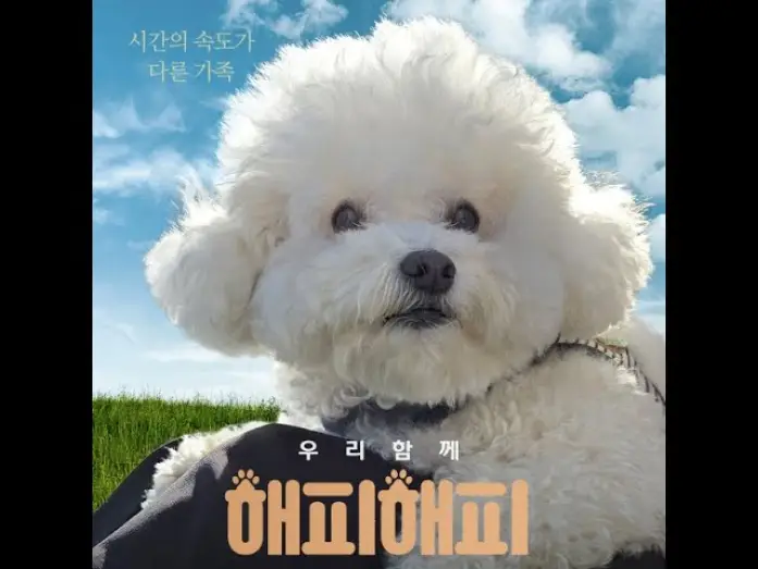 Wideo do filmu 해피해피 — 영화 해피해피 영문 예고편