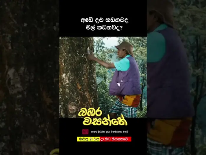 Wideo do filmu බඹර වසන්තේ — අඩේ දළු කඩනවද මල් කඩනවද?!!?