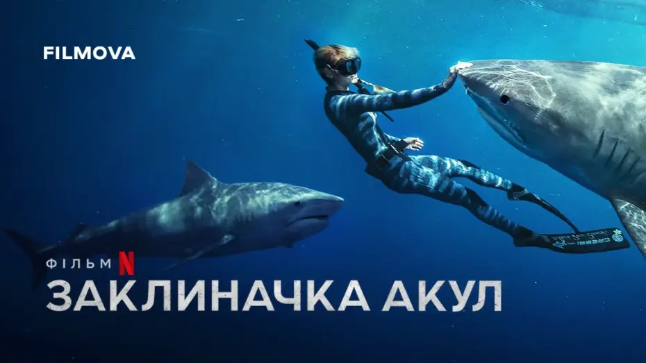 Wideo do filmu Zaklinaczka rekinów — Український трейлер