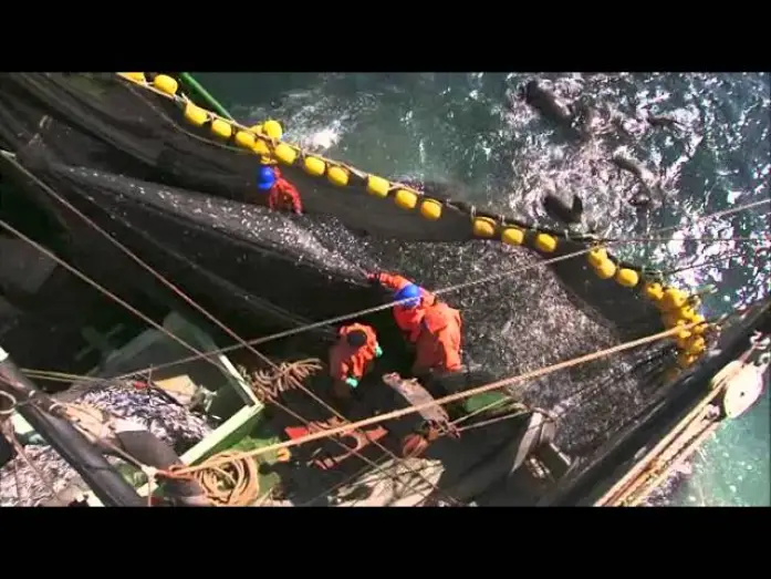 Wideo do filmu Planet Ocean — Planet Ocean: il trailer del film-documentario di Yann Arthus-Bertrand