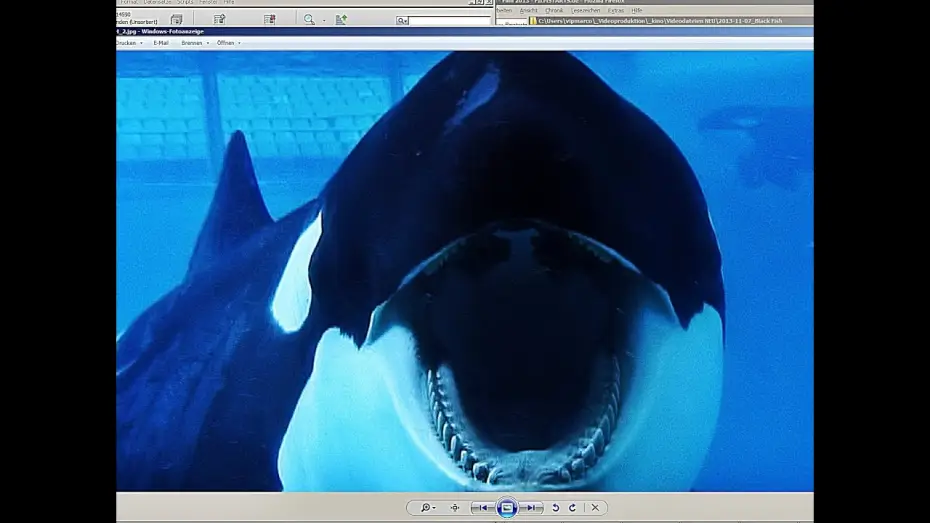 Wideo do filmu Blackfish — BLACKFISH | Trailer german deutsch [HD]