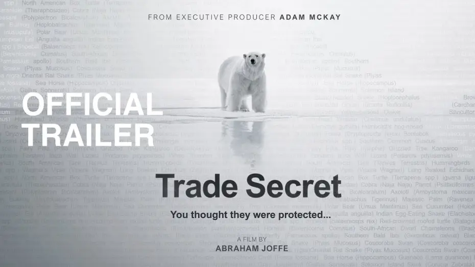 Wideo do filmu Trade Secret — Trade Secret | OFFICIAL TRAILER