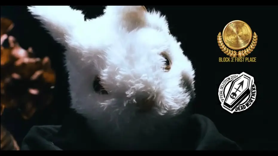 Wideo do filmu Easter Eggs — Easter Eggs | Award-Winning Horror Short Film