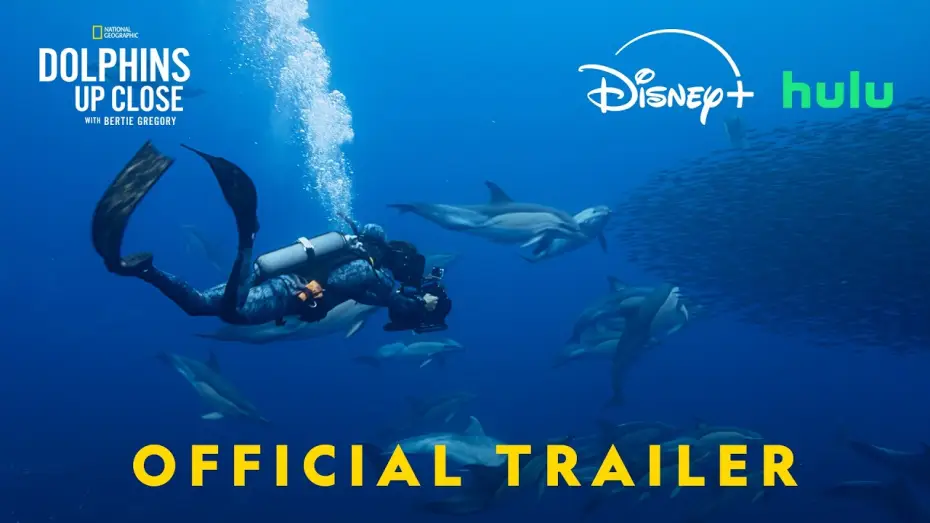 Wideo do filmu Bertie Gregory: bliskie spotkanie z delfinami — Official Trailer