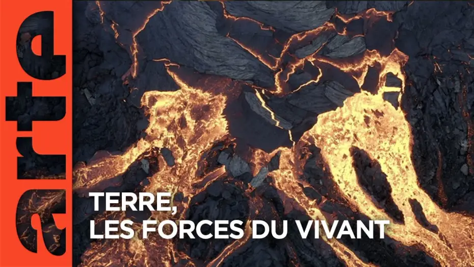 Wideo do filmu Terre, Les Forces du Vivant — Terre, les forces du vivant | Documentaire | ARTE
