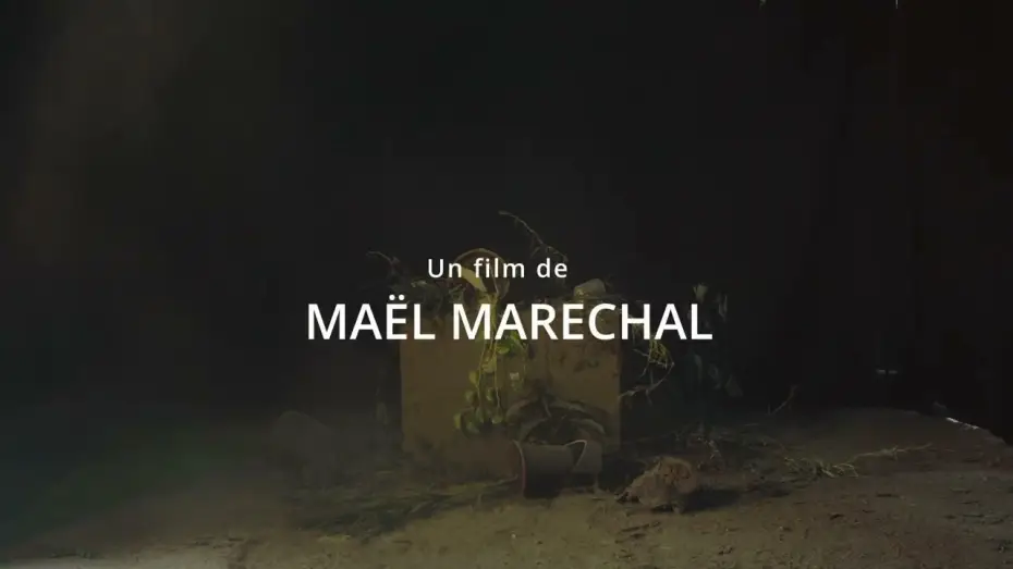 Wideo do filmu Succession — Succession - Teaser