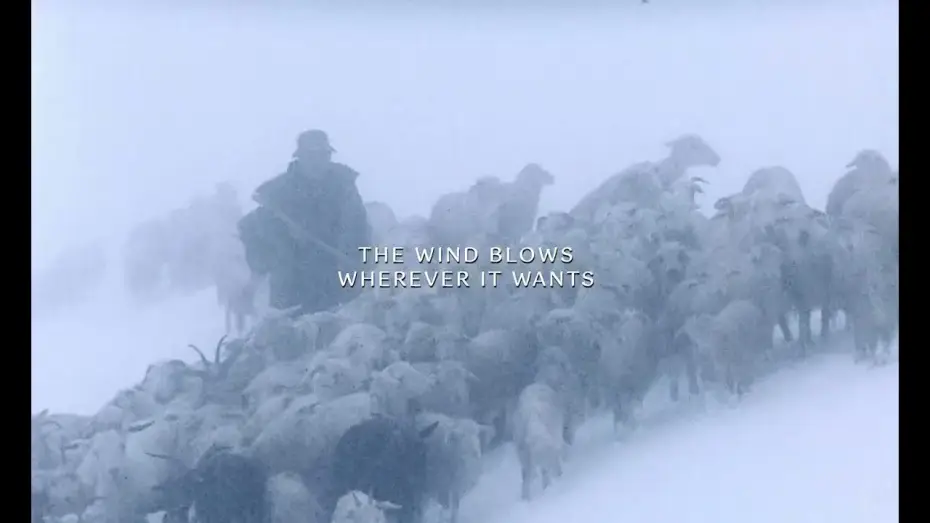 Wideo do filmu The Wind Blows Wherever It Wants — "The Wind Blows Wherever It Wants" 2025 Trailer