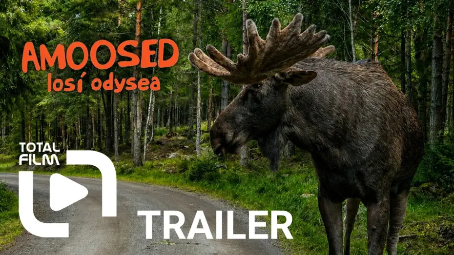 Wideo do filmu AMOOSED: losí odysea — Amoosed: losí odysea (2025) HD trailer