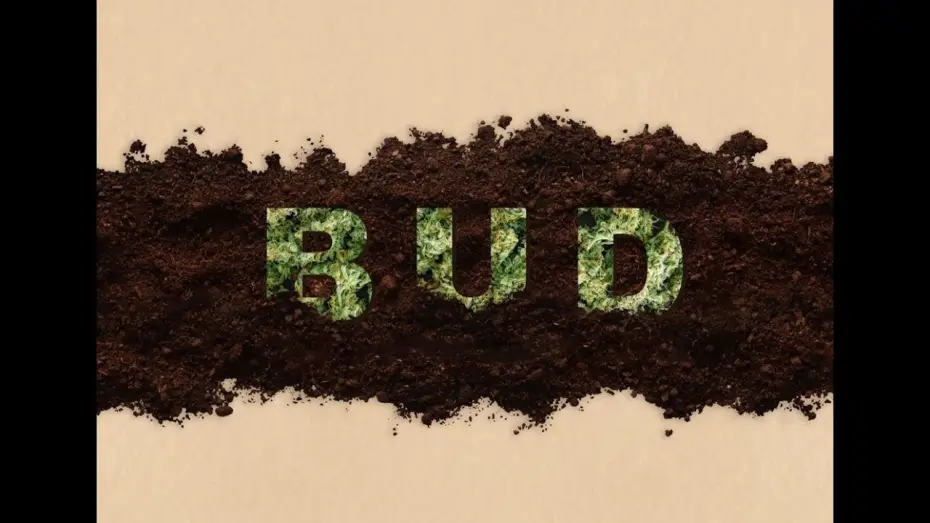 Wideo do filmu BUD — Bud (Short Film Trailer) 4K