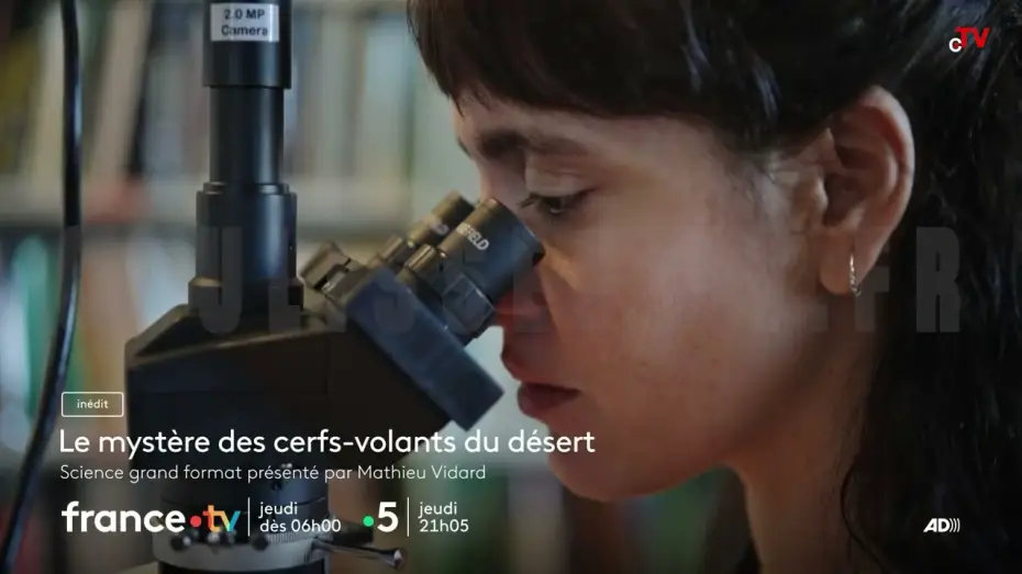Wideo do filmu Le mystère des cerfs-volants du désert — Le mystère des cerfs-volants du désert jeudi 4 décembre 2025 sur France 5