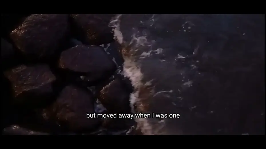 Wideo do filmu When the Water Stops Flowing — Screening of my video essay "When the Water Stops Flowing" on January 3rd, 2026