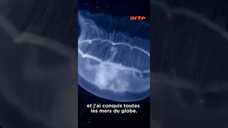 Wideo do filmu Le grand cirque des marées — Les souveraines des océans 🌊 #arteévasion #méduse #animaux