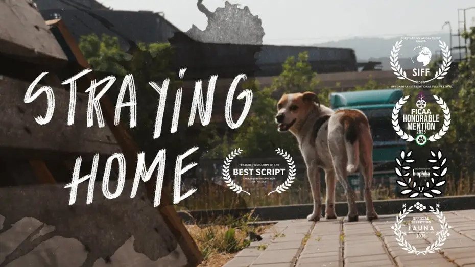 Wideo do filmu Straying home — Straying home. A film essay with urban animals