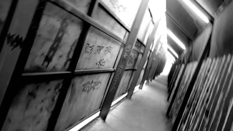 Wideo do filmu Chaos in The City — Chaos in the City | The Stillness of a Dead Avenue (Documentary)