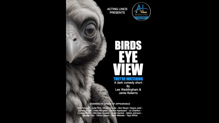 Wideo do filmu Birds Eye View — BIRDS EYE VIEW