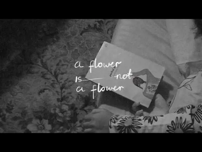 Wideo do filmu A Flower is Not a Flower — A FLOWER IS NOT A FLOWER - Teaser Trailer