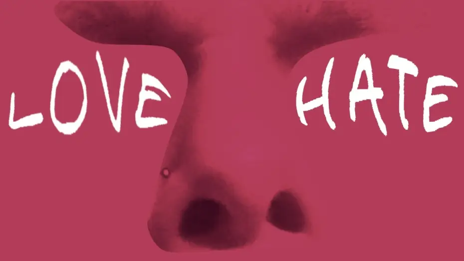Wideo do filmu I Love/Hate The Aide — I Love/Hate The Aide | Music Short Film