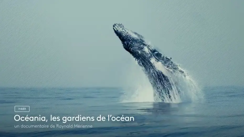 Wideo do filmu Océania, les gardiens des océans — [Bande annonce] Océania, les gardiens de l'océan
