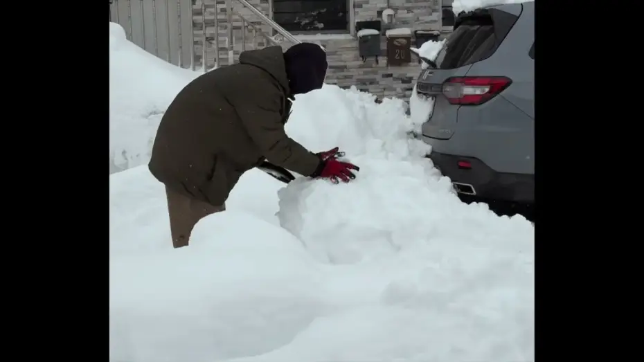Wideo do filmu Snowday — Snowday