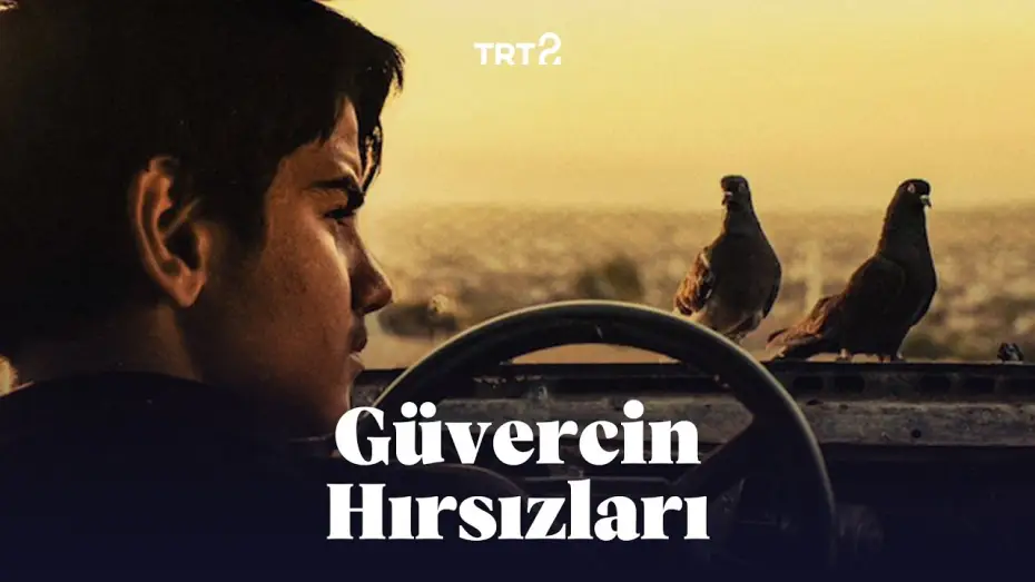 Wideo do filmu Güvercin Terbiyecisi Hammal — Güvercin Hırsızları | Fragman