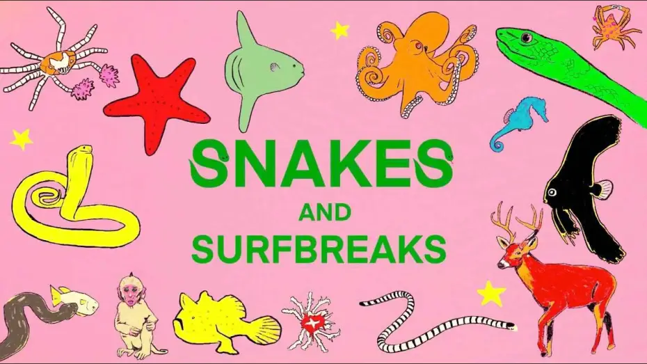 Wideo do filmu Snakes and Surf Breaks — SNAKES and SURF BREAKS - Indonesia (EXTENDED EDITION TRAILER)