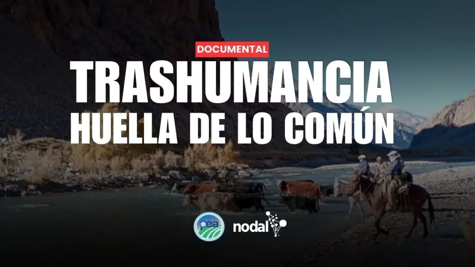 Wideo do filmu TRASHUMANCIA. HUELLA DE LO COMÚN — TRASHUMANCIA. HUELLA DE LO COMÚN | Documental del Centro de estudios Agrarios y NODAL
