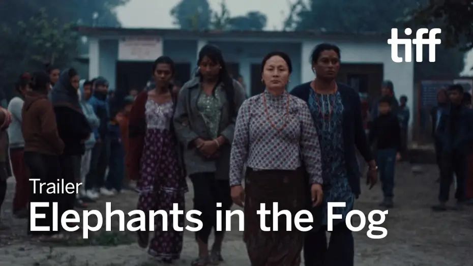 Wideo do filmu Les Éléphants dans la brume — ELEPHANTS IN THE FOG Trailer | TIFF 2026
