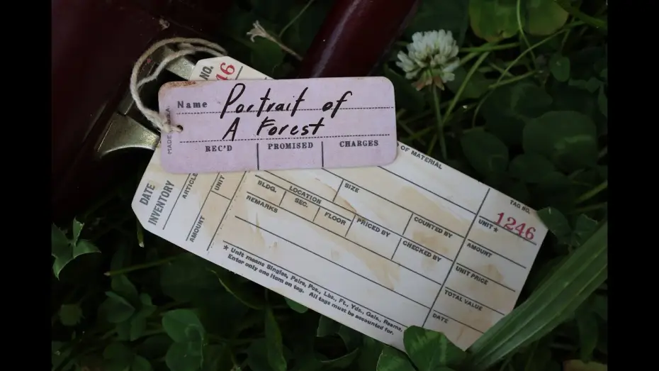 Wideo do filmu Portrait of a Forest — Portrait of a Forest