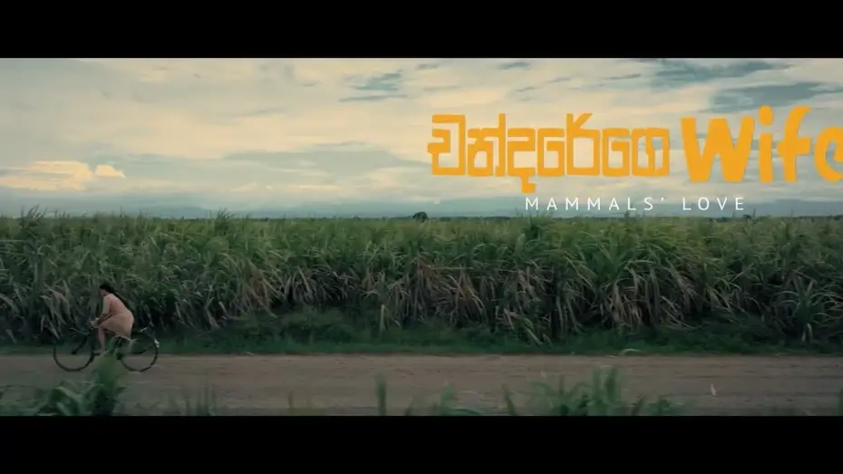 Wideo do filmu චන්දරේගෙ Wife — Chandarege Wife - චන්දරේගෙ Wife | Official Teaser Trailer | 2026 | Prasanna Jayakodi | Movie