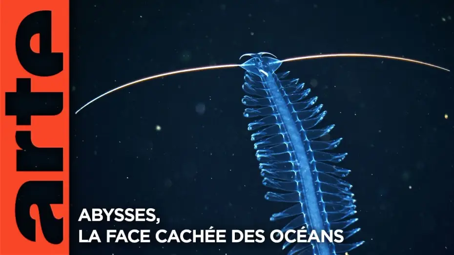 Wideo do filmu Faszination Tiefsee - Expedition zum Grund der Meere — Abysses, la face cachée des océans - Extrait | Documentaire | ARTE