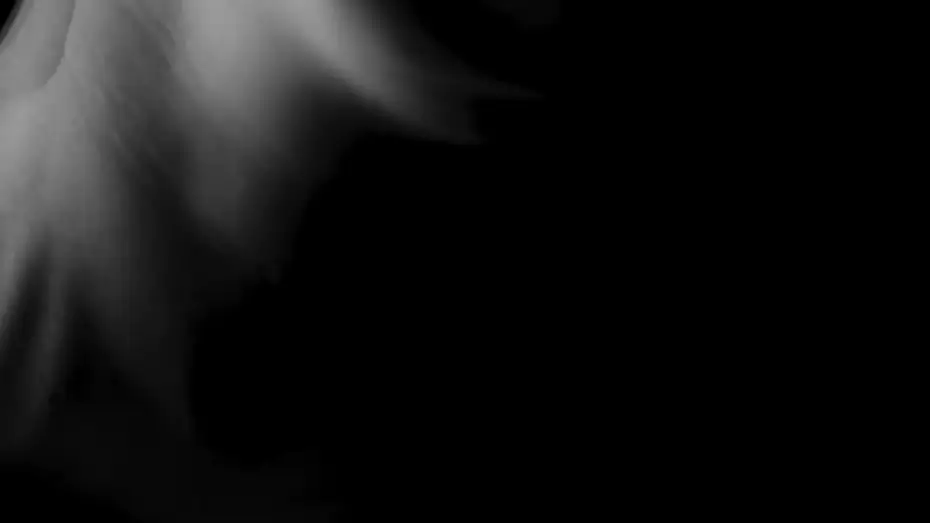 Wideo do filmu Ballet Biologic — Ballet Biologic