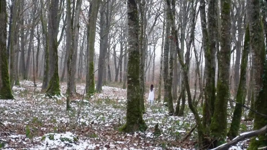 Wideo do filmu somniaque — somniaque | court-métrage